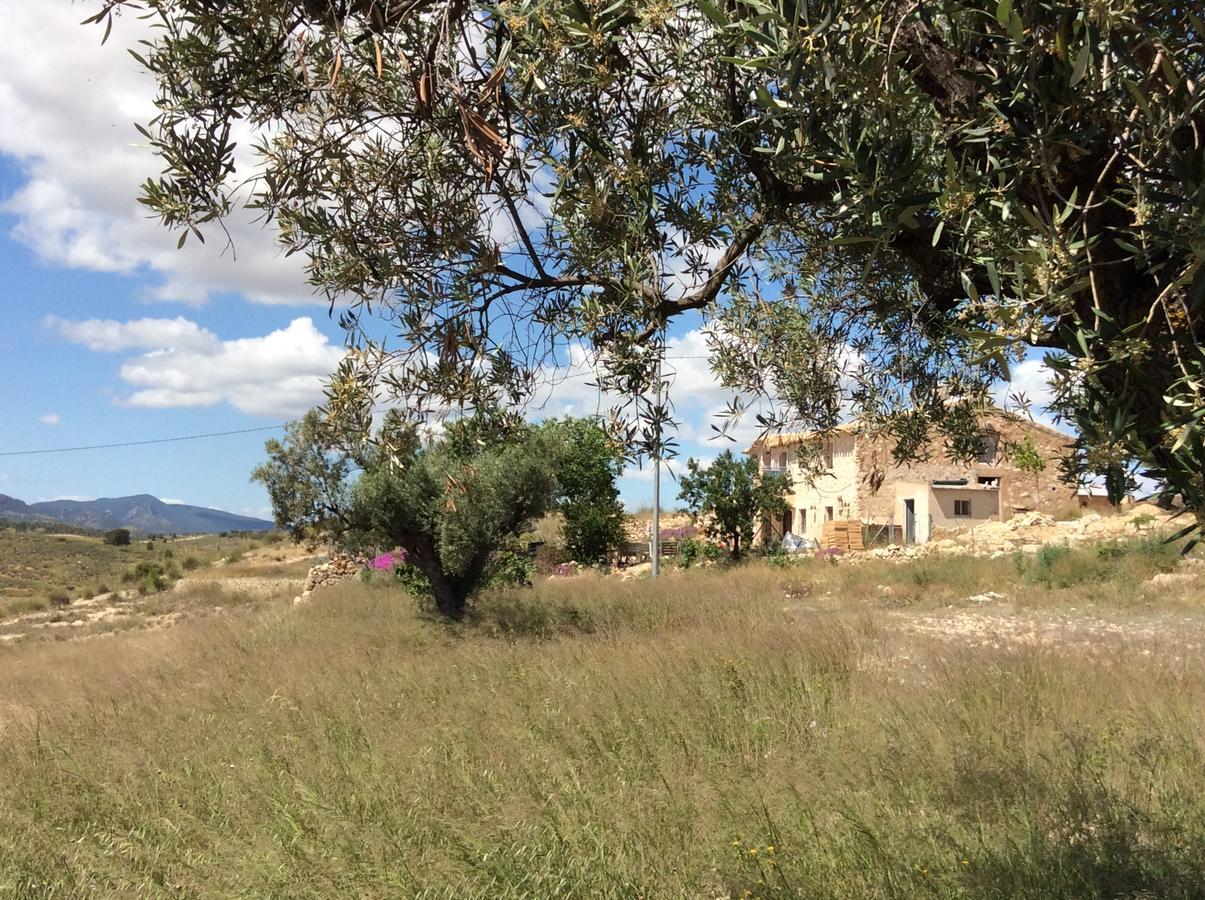 Los Cuatro Vientos B&B Torre del Rico 外观 照片