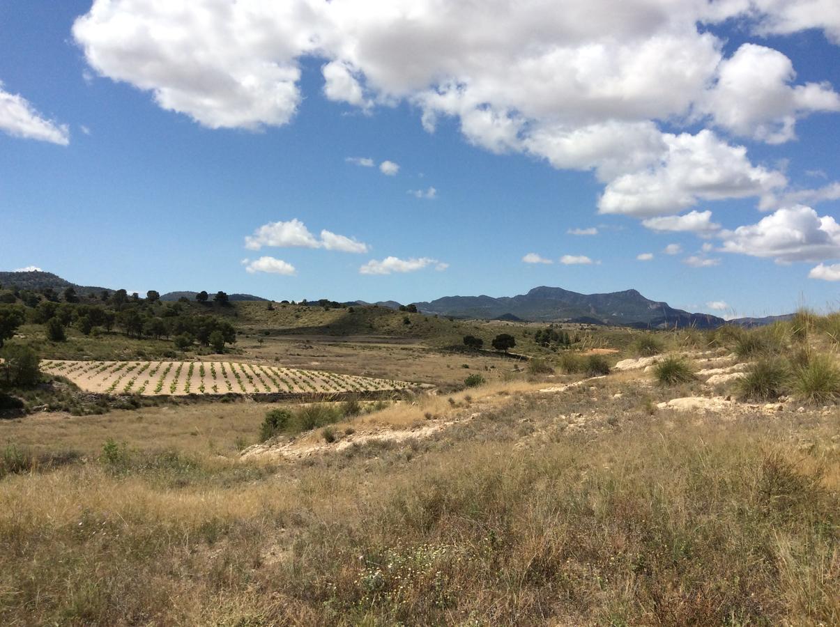 Los Cuatro Vientos B&B Torre del Rico 外观 照片